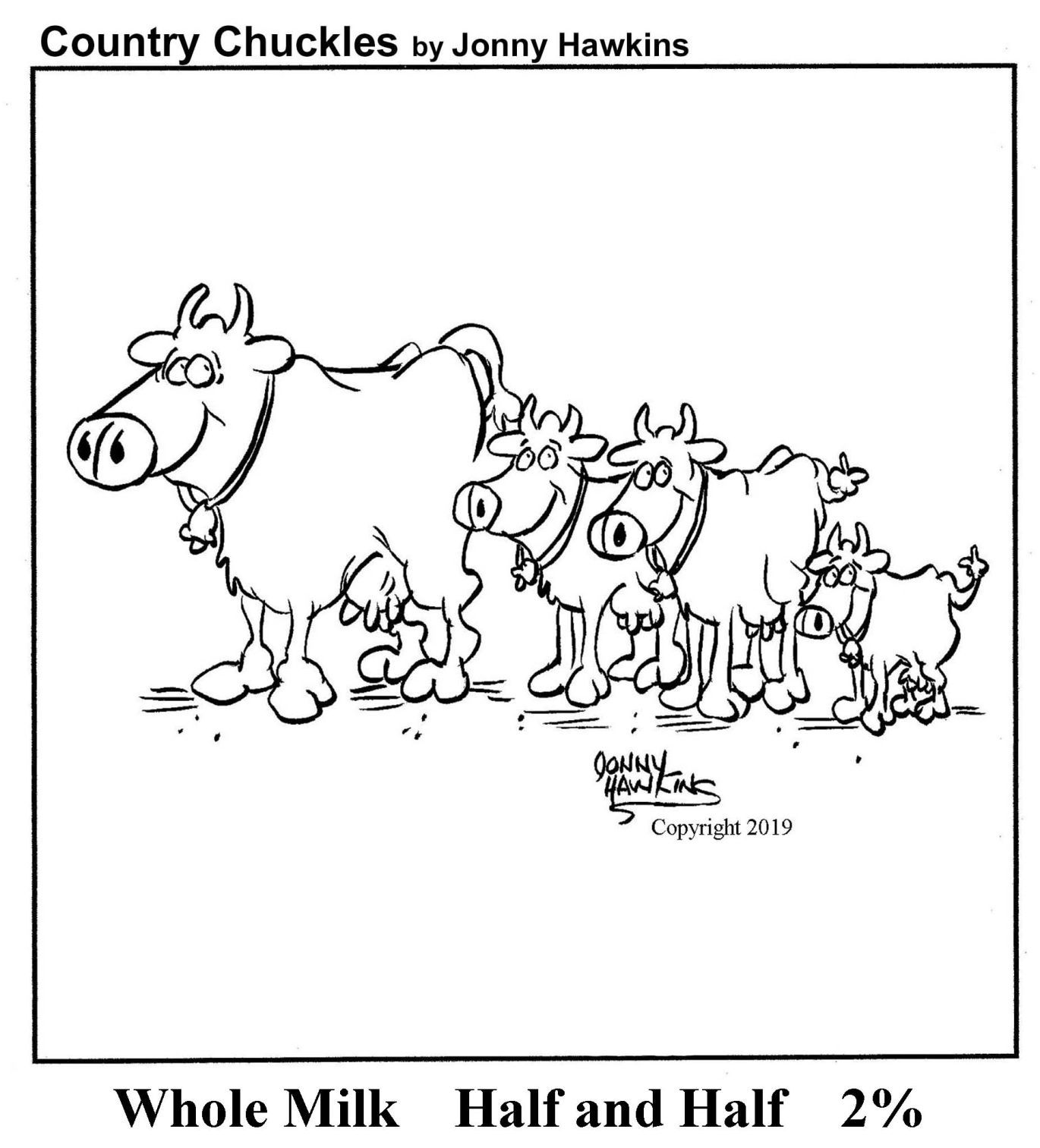 Country Chuckles by Jonny Hawkins